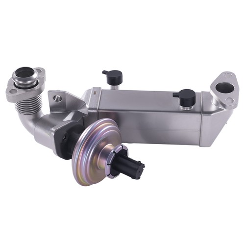 Valvola egr radiatore - radiatore,