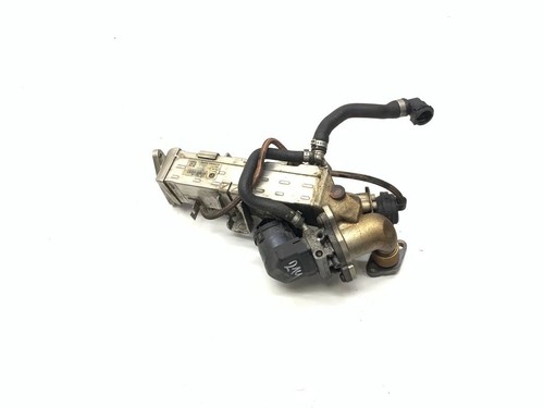 Radiatore gas scarico bmw - gas,